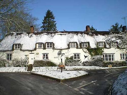 Brace Of Pheasants Hotel Alton Pancras Exterior foto
